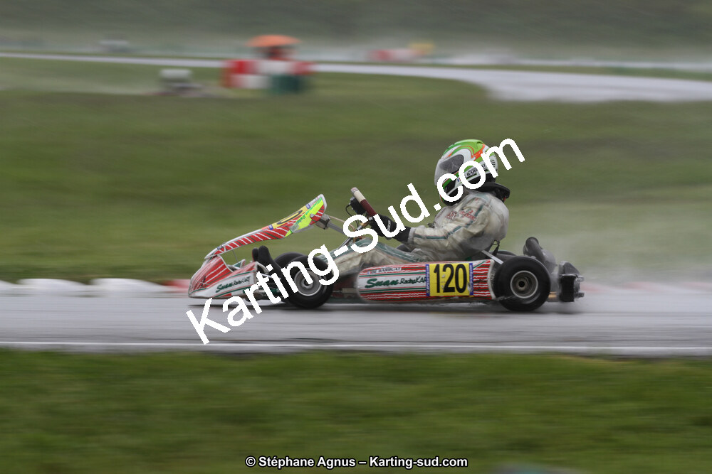 IMG_3950.jpg