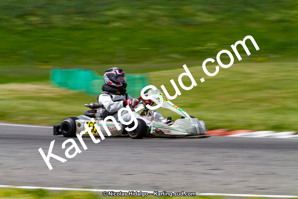 IMG_2015.jpg