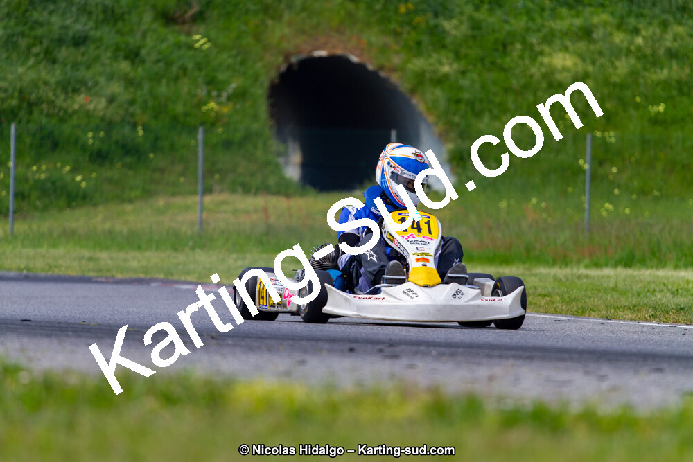 IMG_2331.jpg