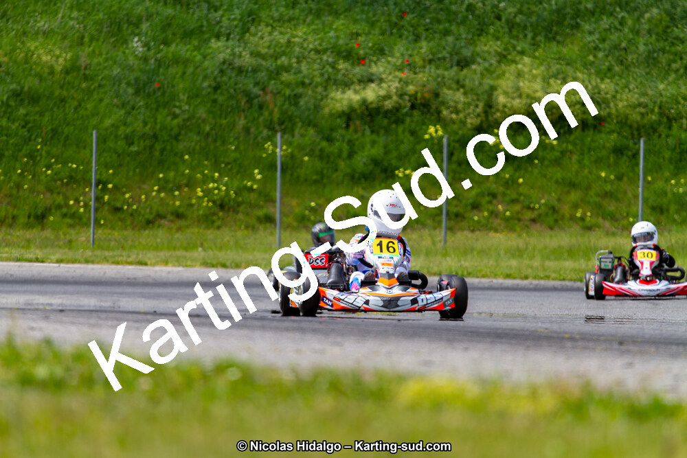 IMG_2419.jpg
