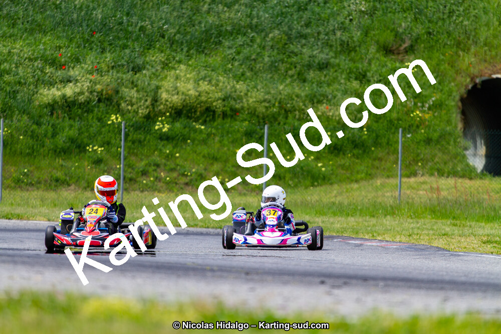 IMG_2431.jpg
