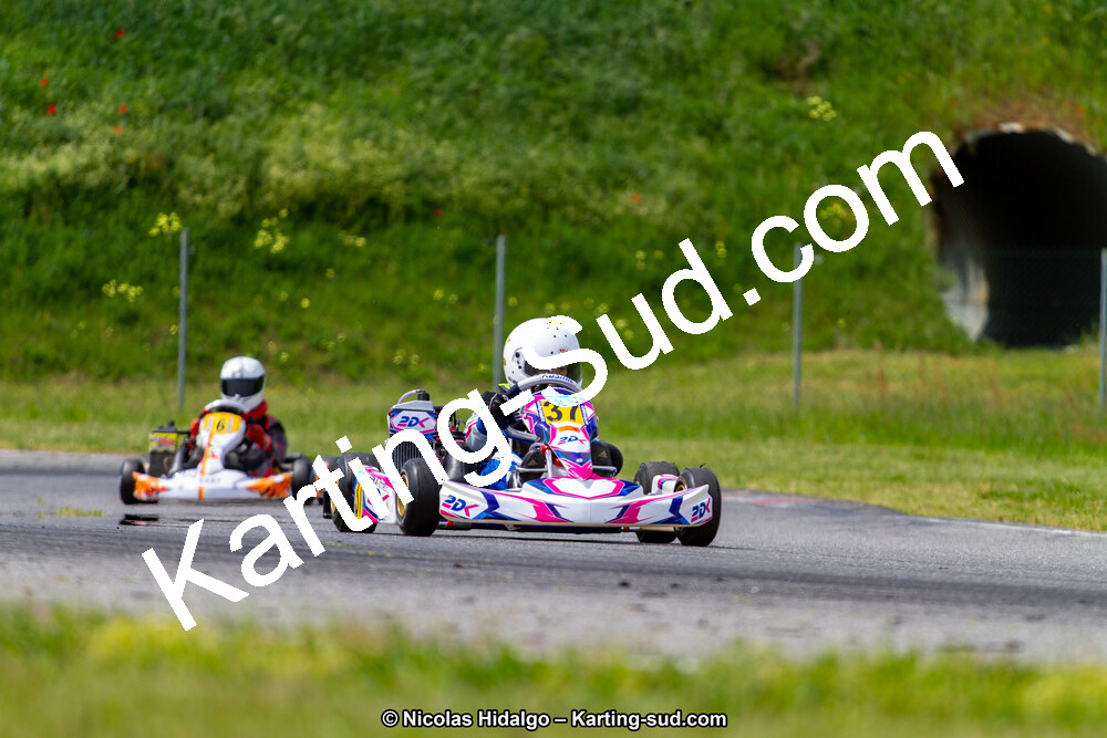 IMG_2433.jpg