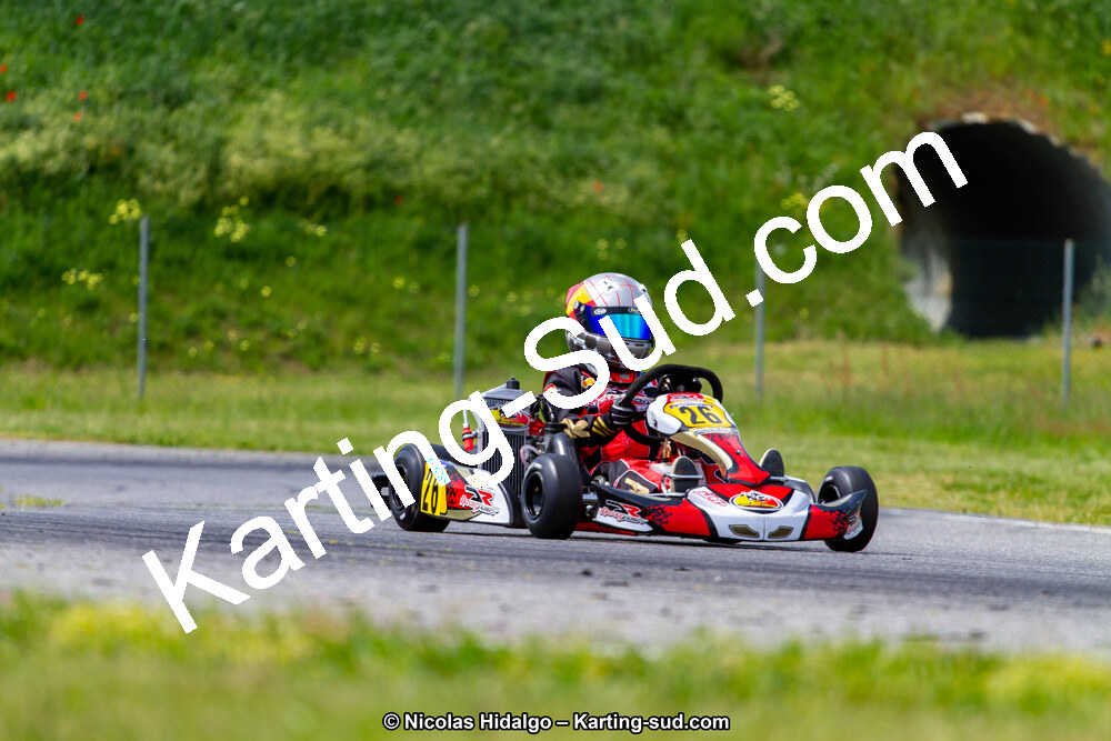IMG_2439.jpg