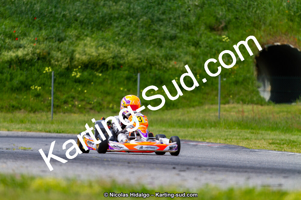 IMG_2441.jpg