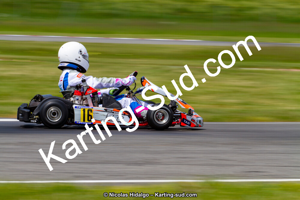 IMG_2487.jpg