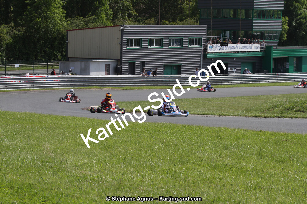 IMG_7936.jpg
