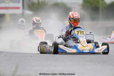 02 & 03/06/2018 : 4ème manche du Championnat du Sud 2018 à Rivesaltes (Photos Stéphane Agnus) 2018 — karting