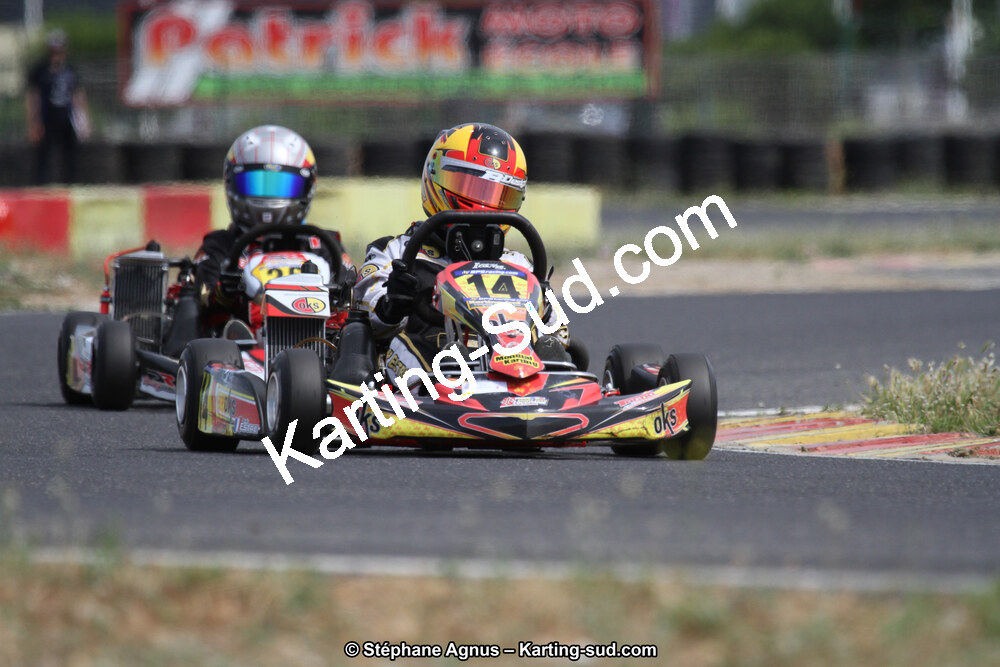 IMG_1008.jpg