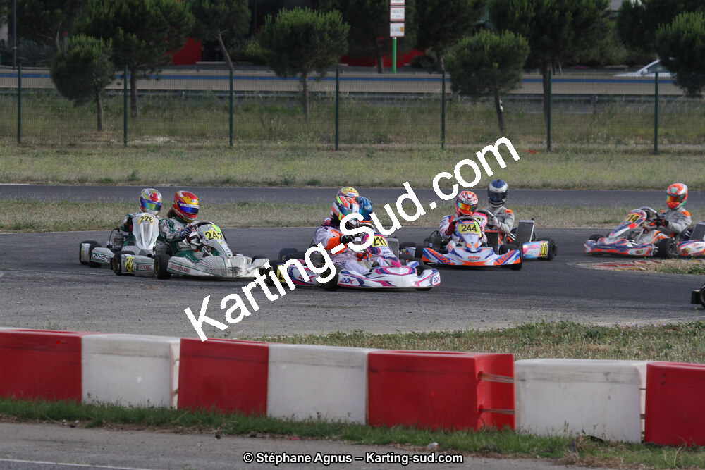 IMG_1931.jpg