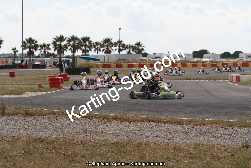 IMG_2231.jpg