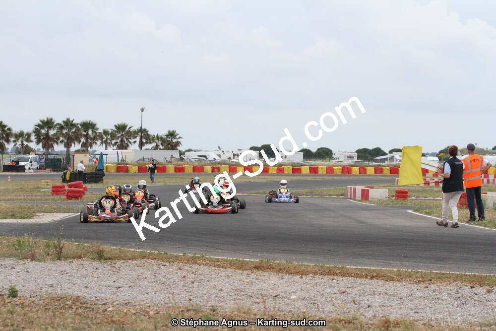IMG_2849.jpg