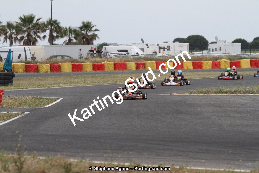 IMG_2851.jpg