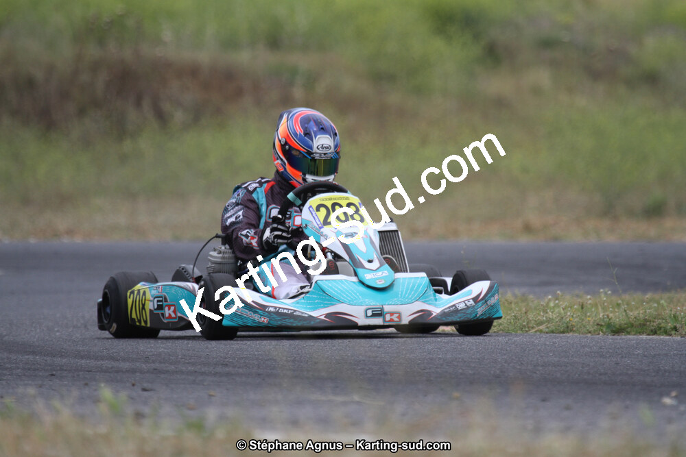 02 & 03/06/2018 : 4ème manche du Championnat du Sud 2018 à Rivesaltes (Photos Stéphane Agnus) 2018 — karting
