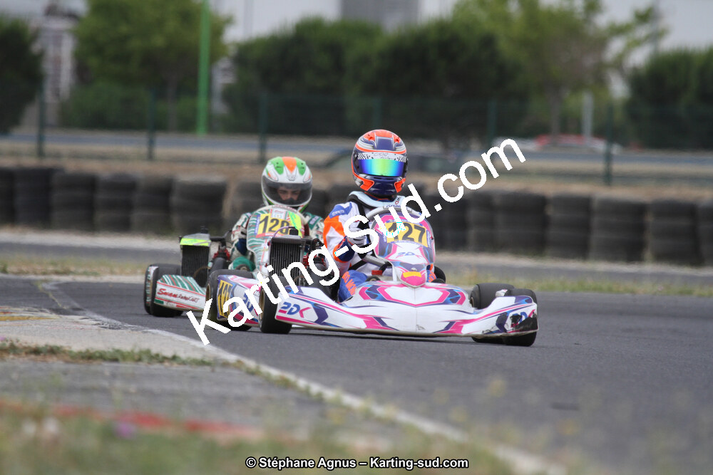 IMG_3768.jpg