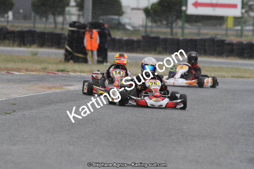 IMG_4036.jpg