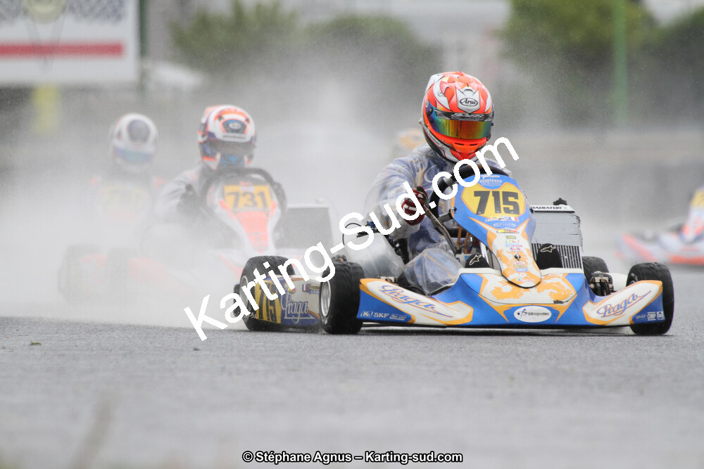 02 & 03/06/2018 : 4ème manche du Championnat du Sud 2018 à Rivesaltes (Photos Stéphane Agnus) 2018 — karting