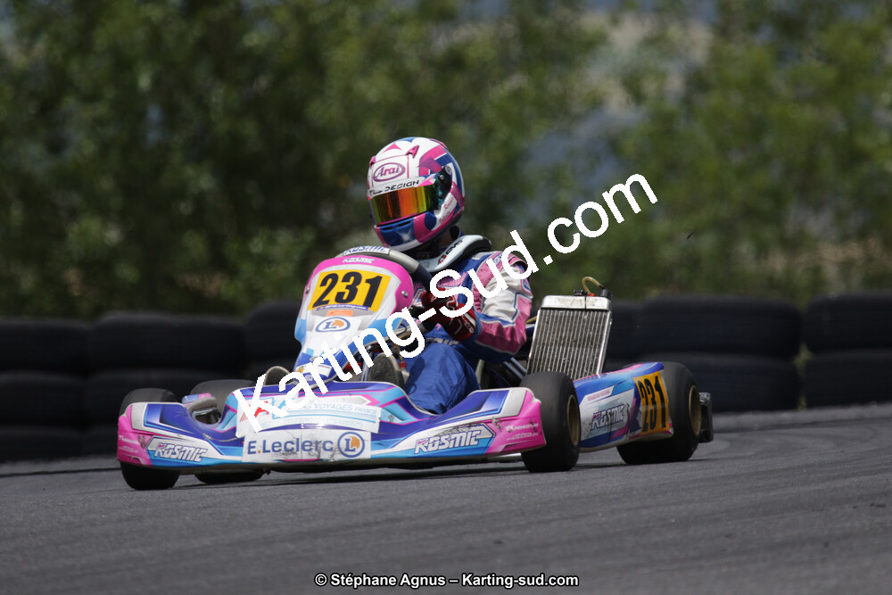 24/06/2018 : 1ère manche du Challenge Jean-Claude Sanchez à Belmont sur Rance (Photos Stéphane Agnus) 2018 — karting