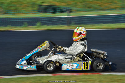 14 & 15/07/2018 : Coupe de France KFS 2018 à Belmont sur Rance (Photos Antoine Camblor) 2018 — karting
