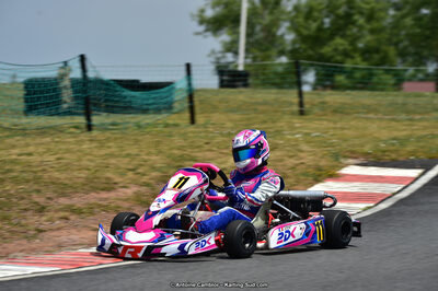 14 & 15/07/2018 : Coupe de France KFS 2018 à Belmont sur Rance (Photos Antoine Camblor) 2018 — karting
