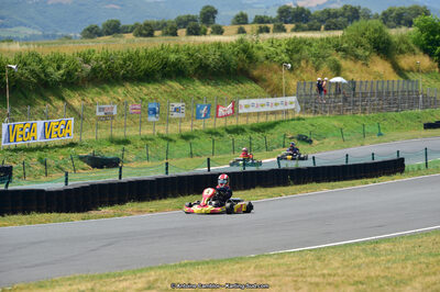 14 & 15/07/2018 : Coupe de France KFS 2018 à Belmont sur Rance (Photos Antoine Camblor) 2018 — karting