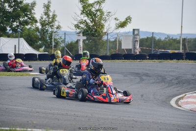 14 & 15/07/2018 : Coupe de France KFS 2018 à Belmont sur Rance (Photos Antoine Camblor) 2018 — karting