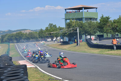 14 & 15/07/2018 : Coupe de France KFS 2018 à Belmont sur Rance (Photos Antoine Camblor) 2018 — karting