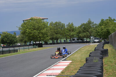 14 & 15/07/2018 : Coupe de France KFS 2018 à Belmont sur Rance (Photos Antoine Camblor) 2018 — karting