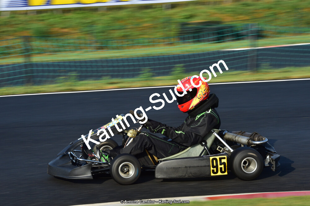 D4S_7945.jpg