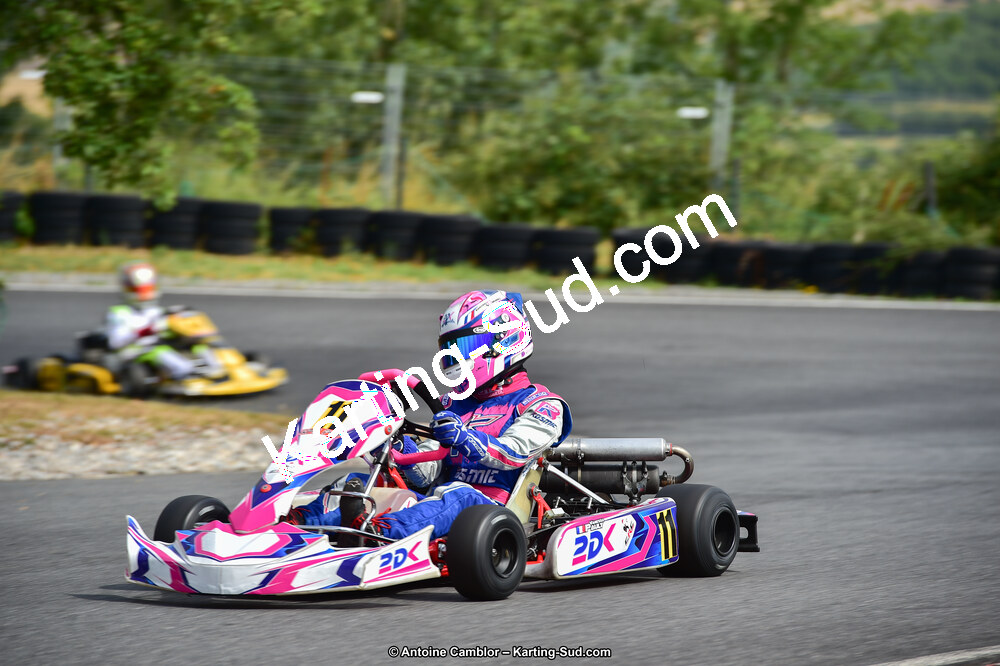 14 & 15/07/2018 : Coupe de France KFS 2018 à Belmont sur Rance (Photos Antoine Camblor) 2018 — karting