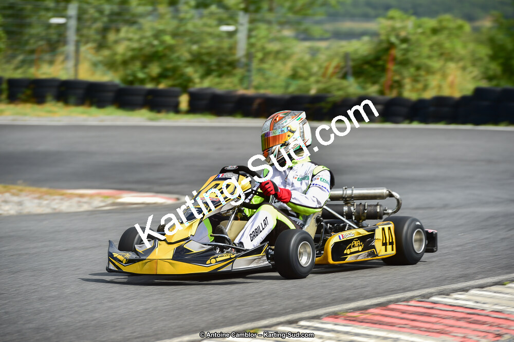 D4S_8219.jpg