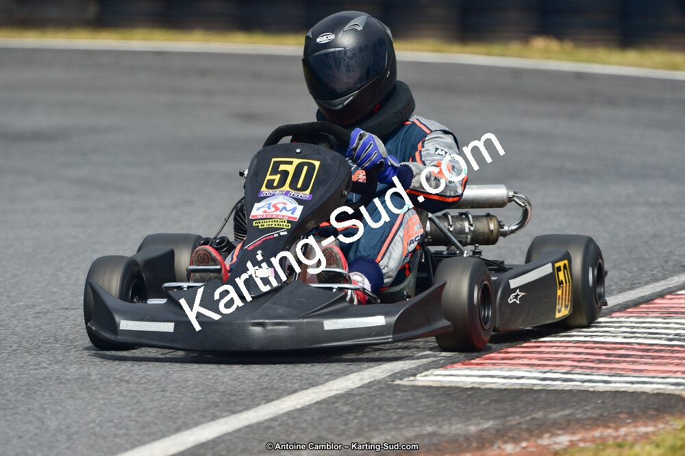 D4S_8285.jpg