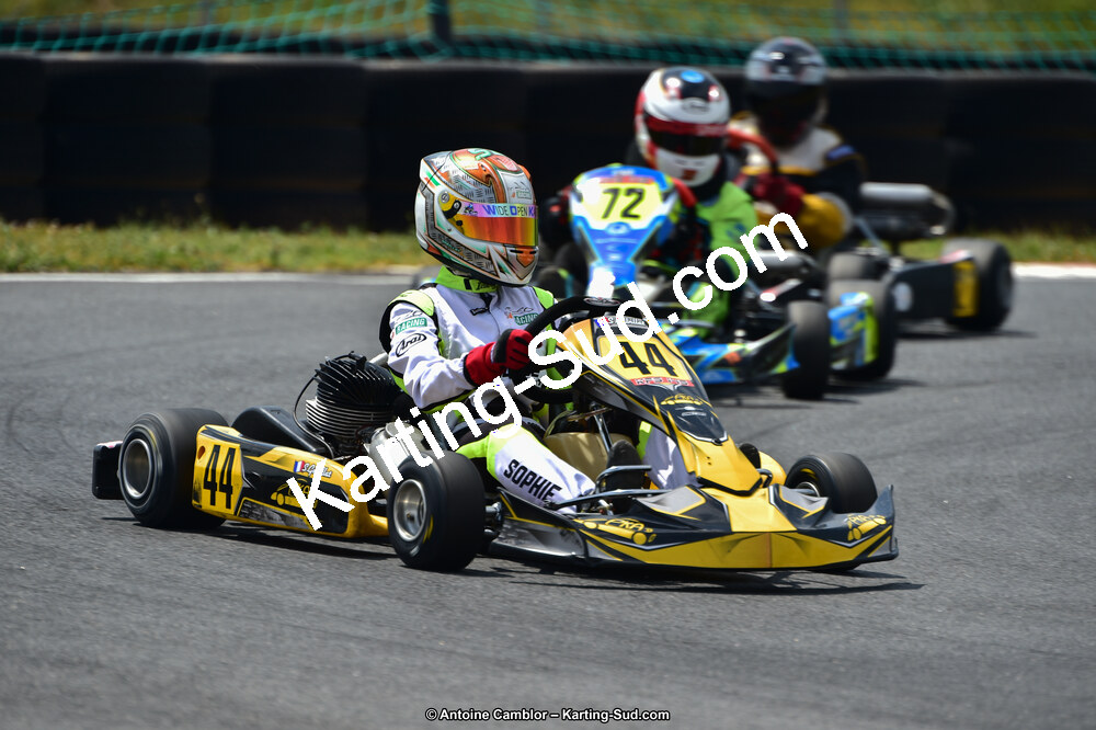 14 & 15/07/2018 : Coupe de France KFS 2018 à Belmont sur Rance (Photos Antoine Camblor) 2018 — karting