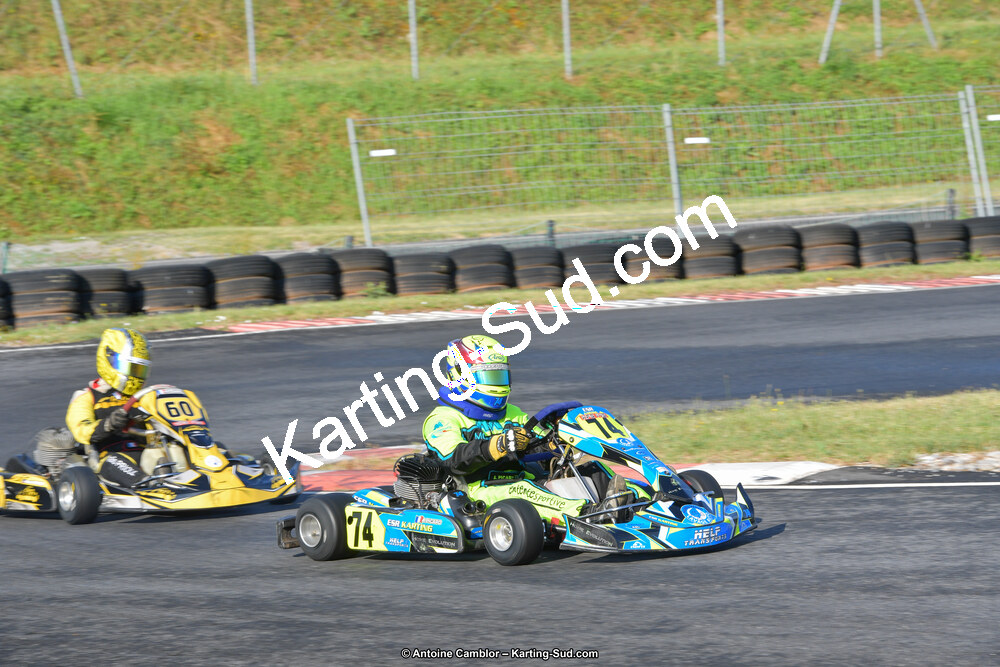 DSC_0217.jpg