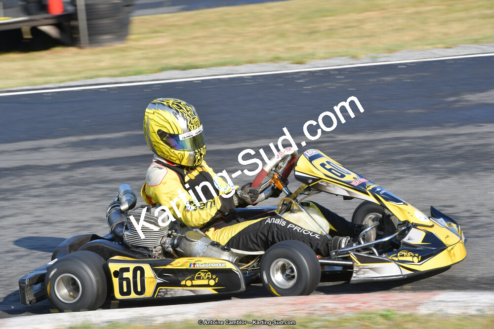 DSC_0218.jpg