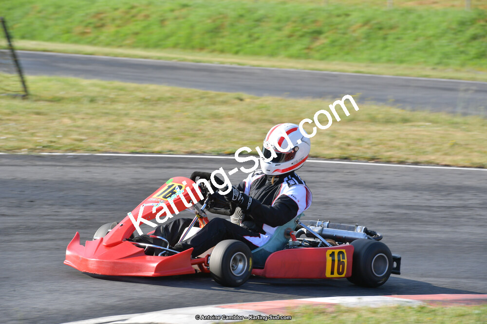 DSC_0242.jpg