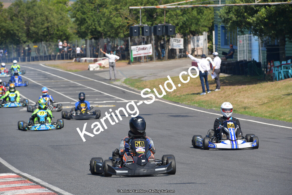 DSC_0786.jpg