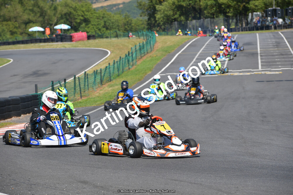 DSC_0866.jpg