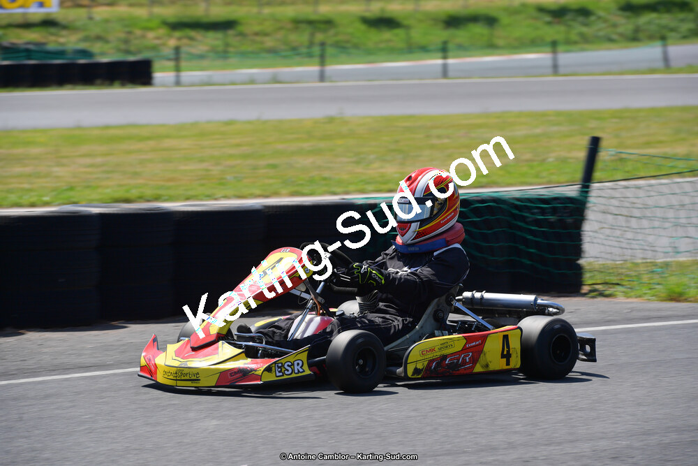 DSC_1168.jpg
