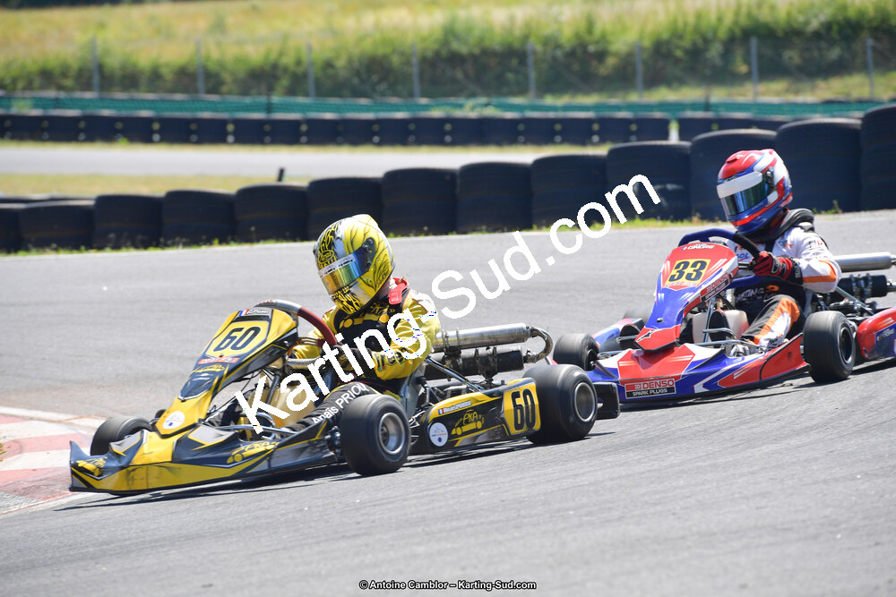 DSC_1342.jpg