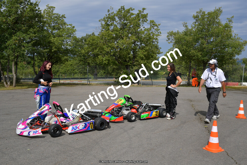 14 & 15/07/2018 : Coupe de France KFS 2018 à Belmont sur Rance (Photos Antoine Camblor) 2018 — karting