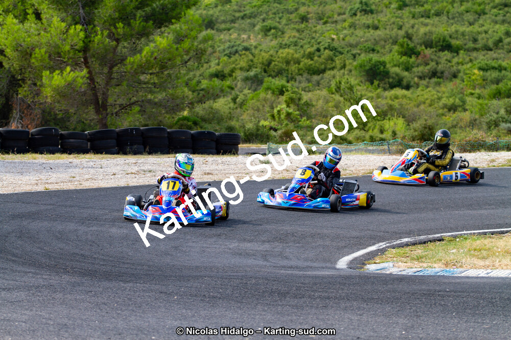 IMG_6529.jpg