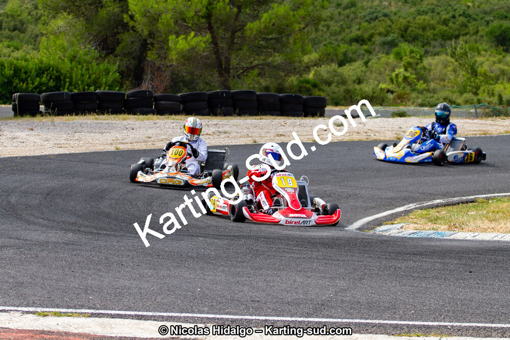 IMG_6607.jpg