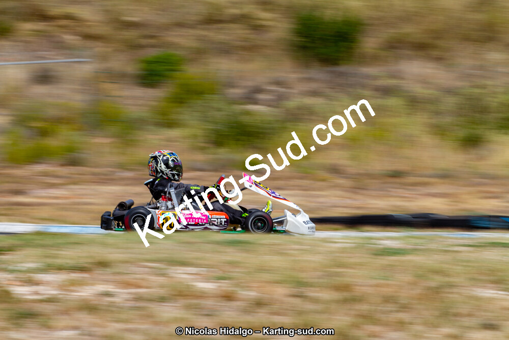IMG_7293.jpg