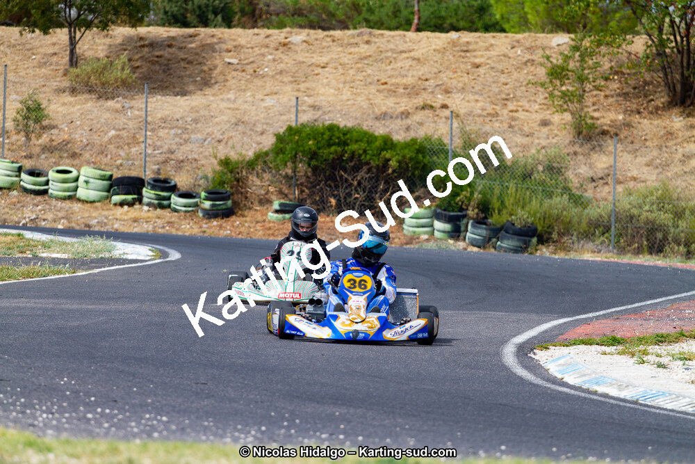 IMG_7593.jpg