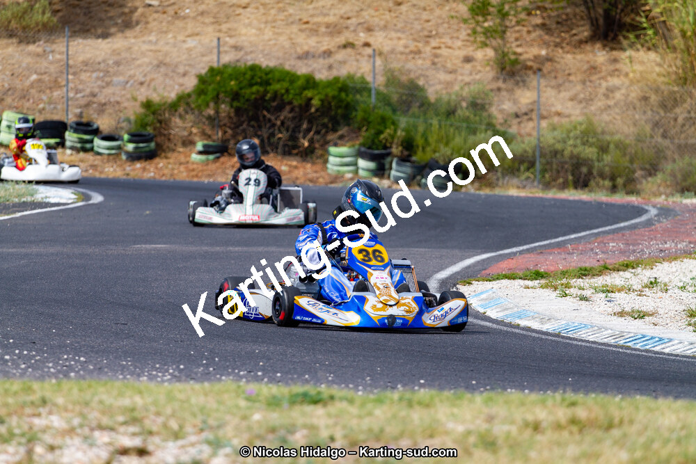 IMG_7616.jpg