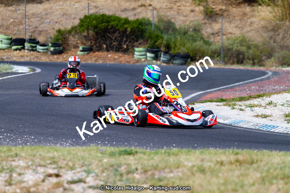 IMG_7619.jpg