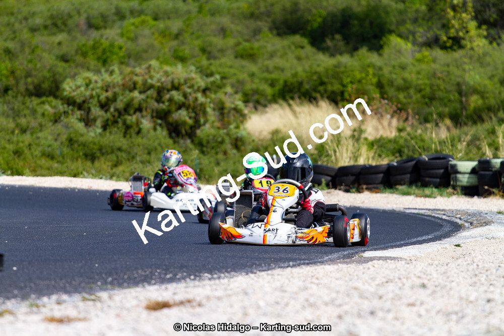 IMG_7816.jpg