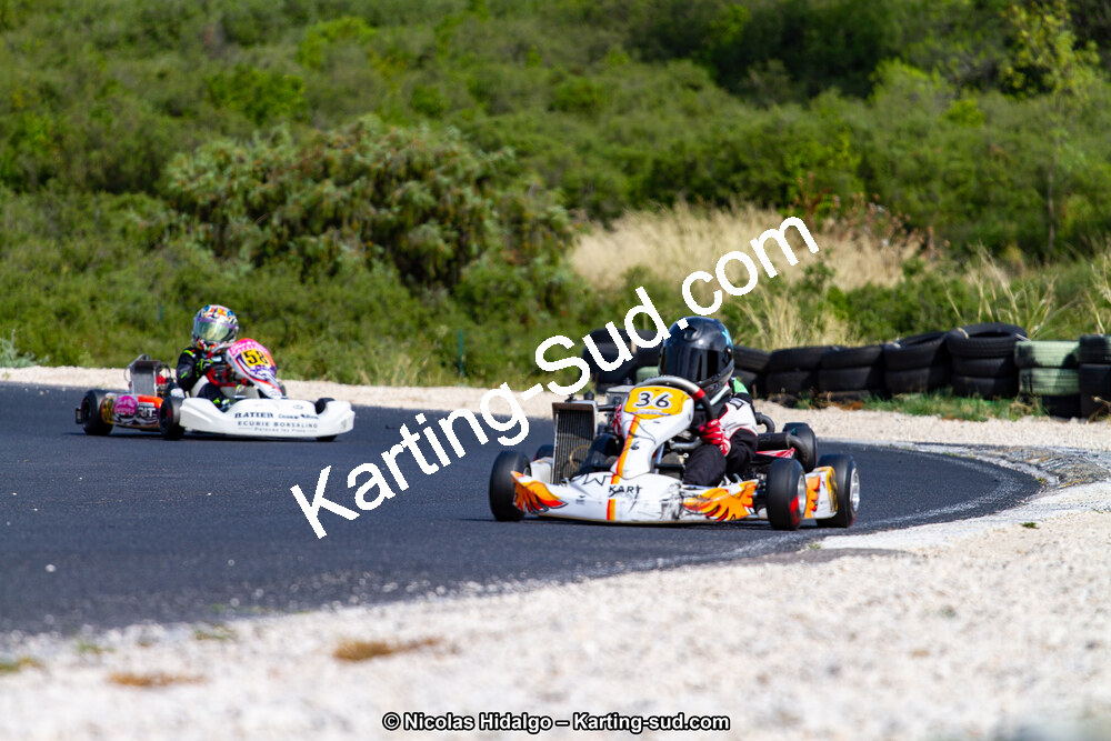 IMG_7826.jpg