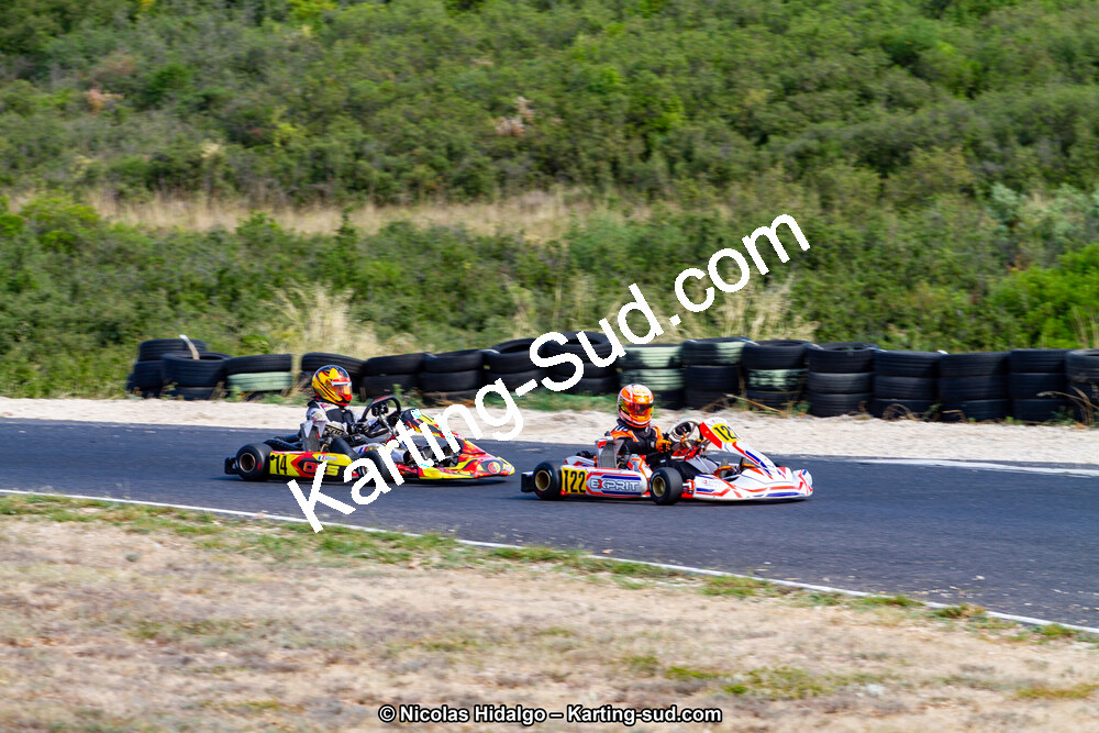 IMG_7919.jpg