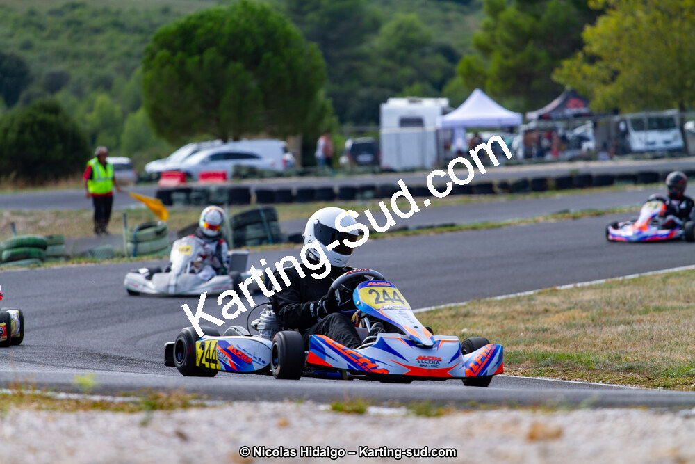 IMG_7951.jpg